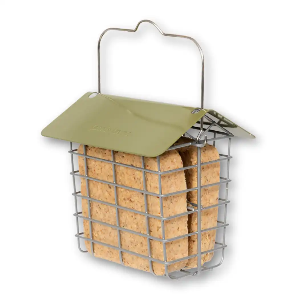 Bird Feeders